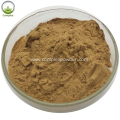 Best quality centella asiatica extract powder